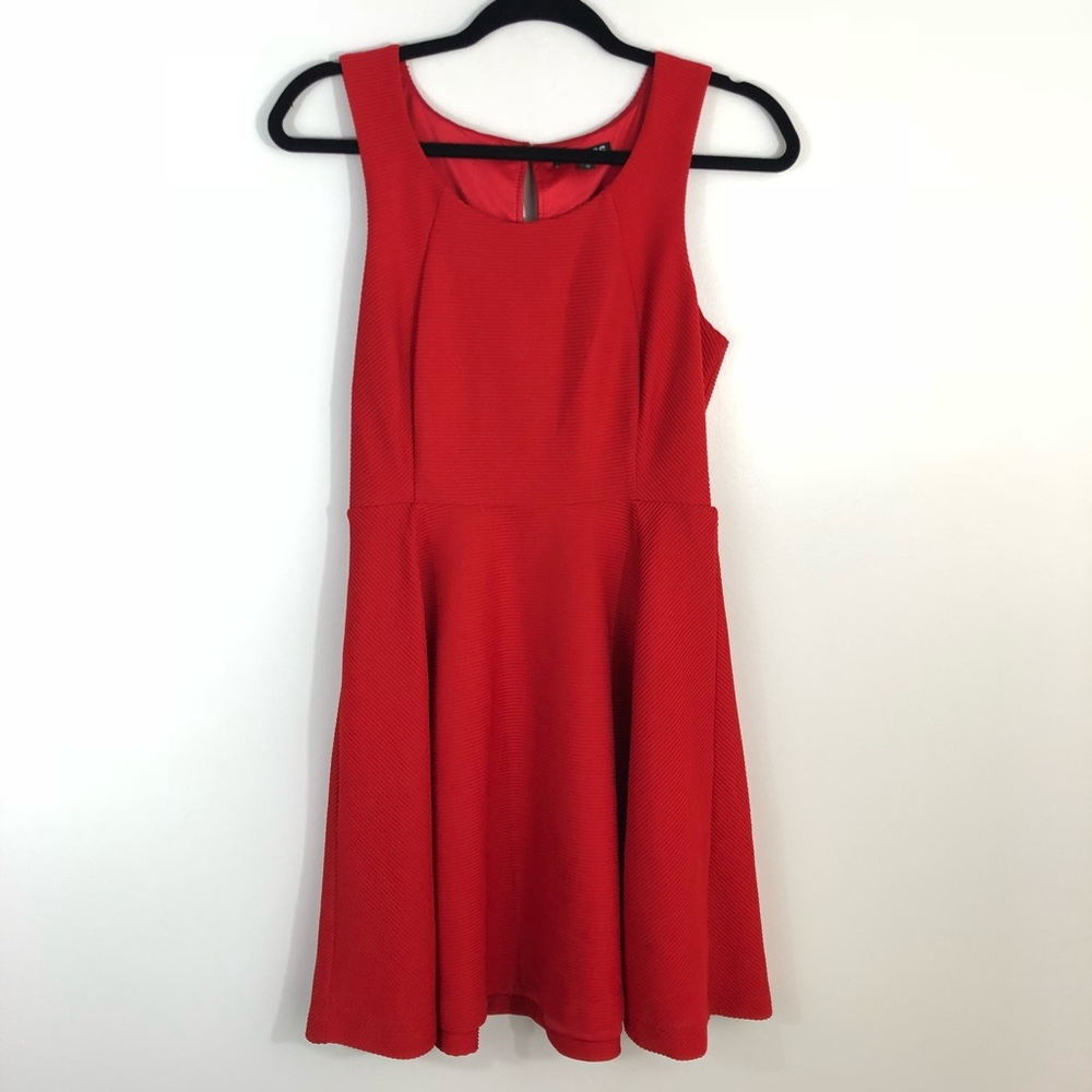 Express Little Red Dress